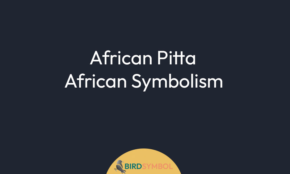 African Pitta African Symbolism