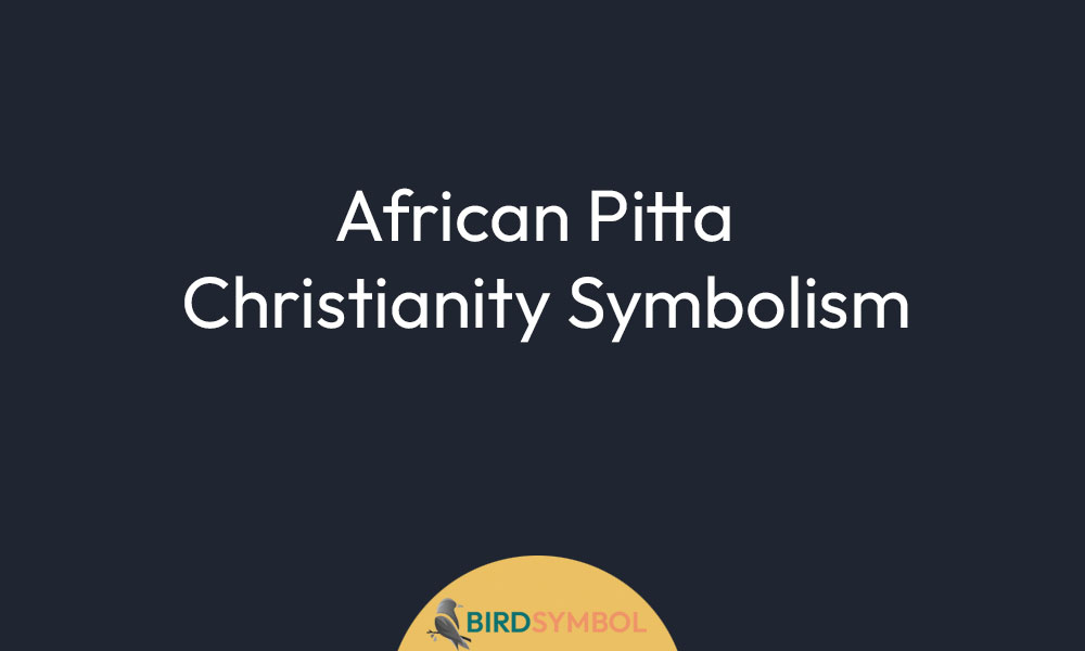 African Pitta Christianity Symbolism