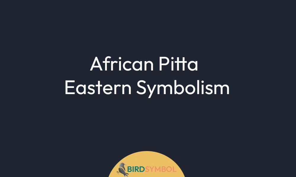 African Pitta Eastern Symbolism