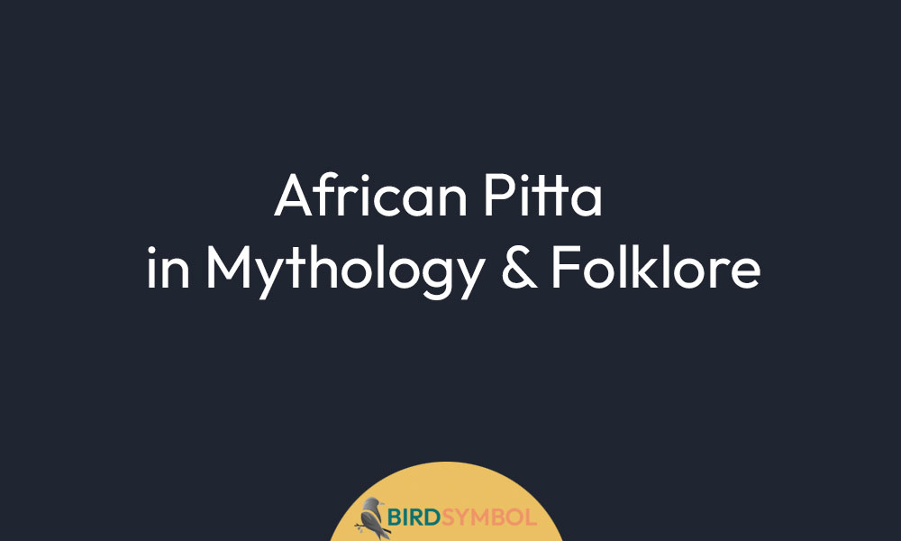 African Pitta in Mythology & Folklore