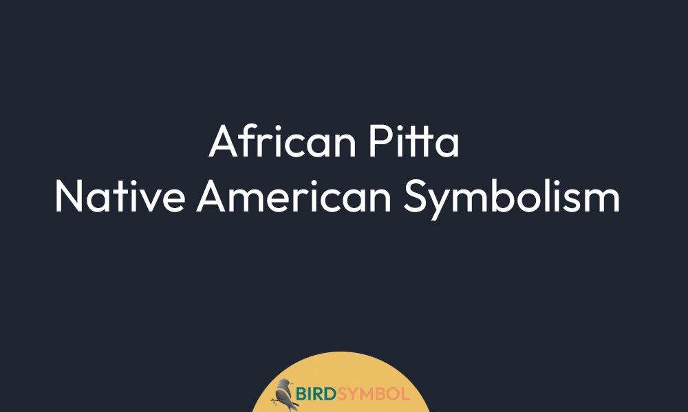 African Pitta Native American Symbolism