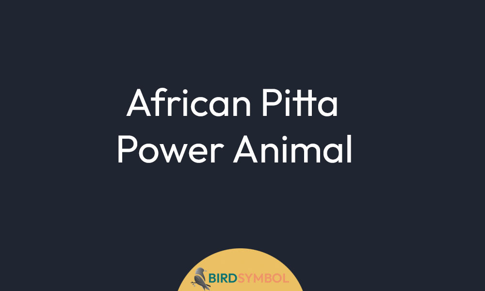 African Pitta Power Animal