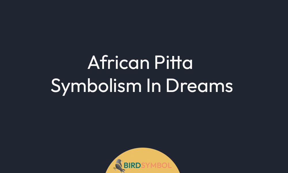 African Pitta Symbolism In Dreams