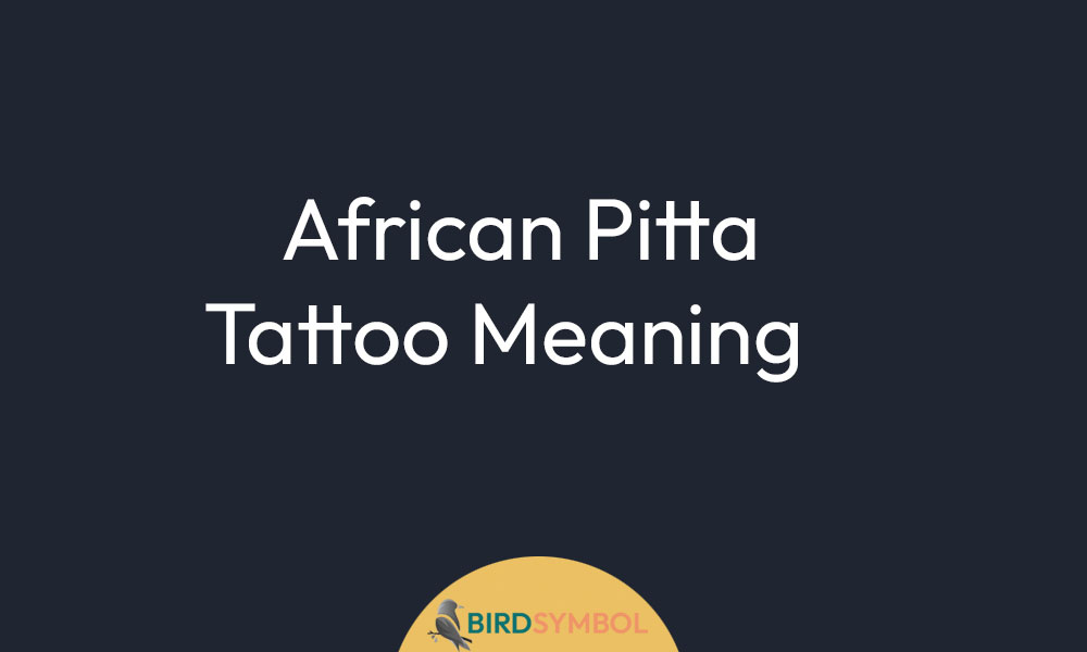 African Pitta Tattoo Meaning