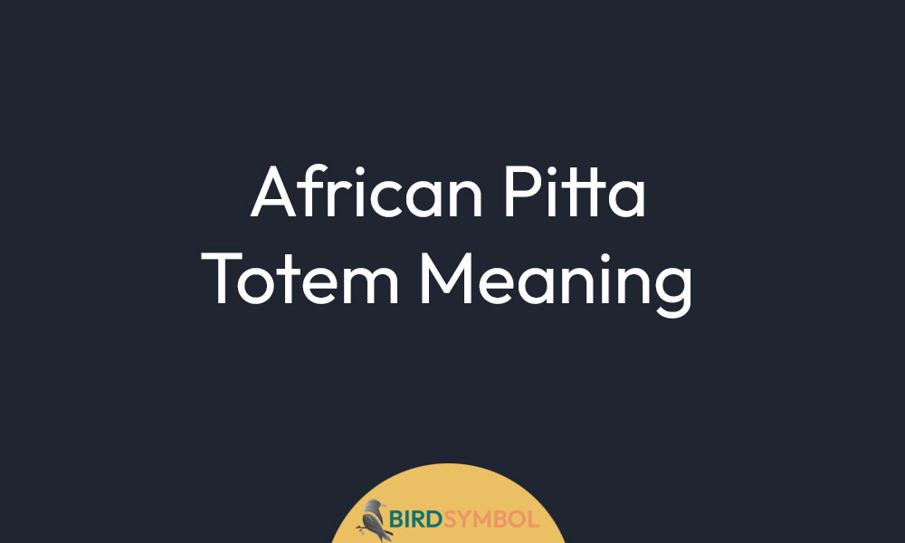 African Pitta Totem Meaning