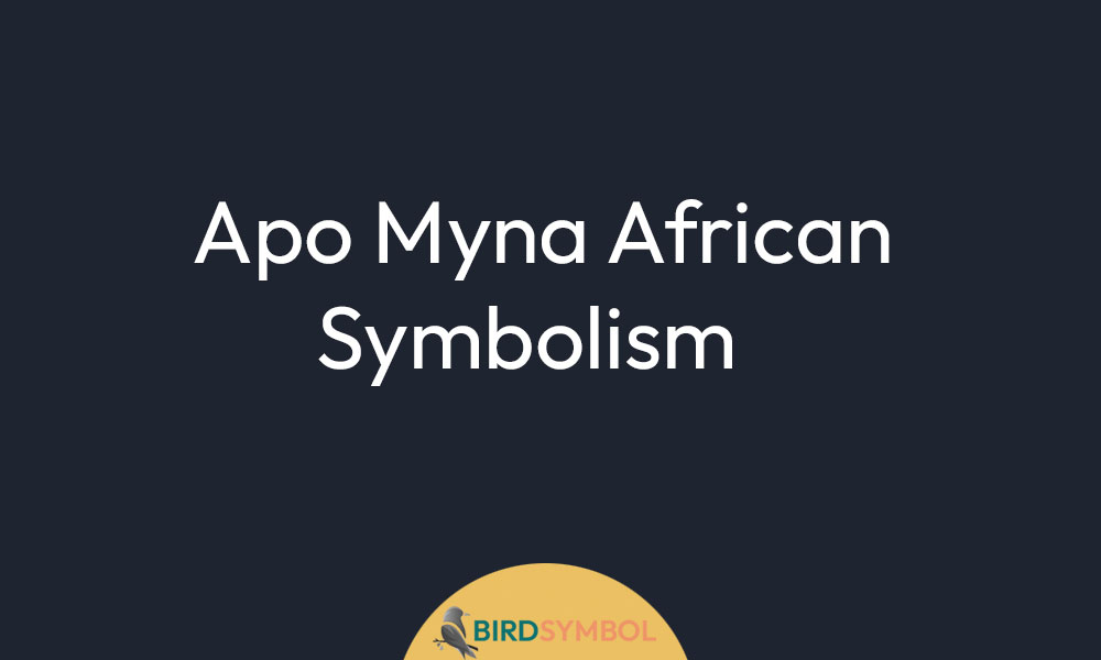 Apo Myna African Symbolism