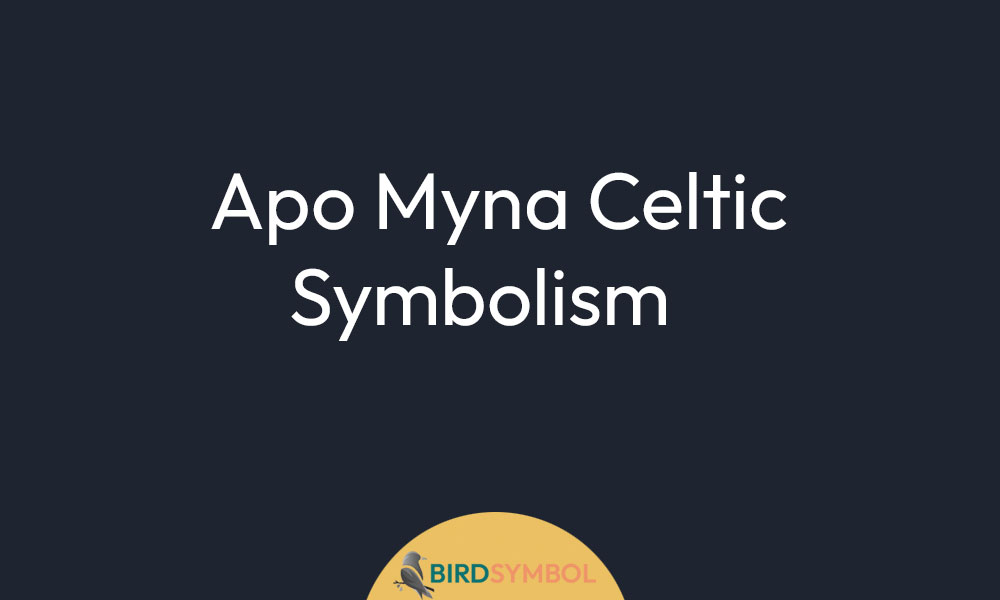 Apo Myna Celtic Symbolism