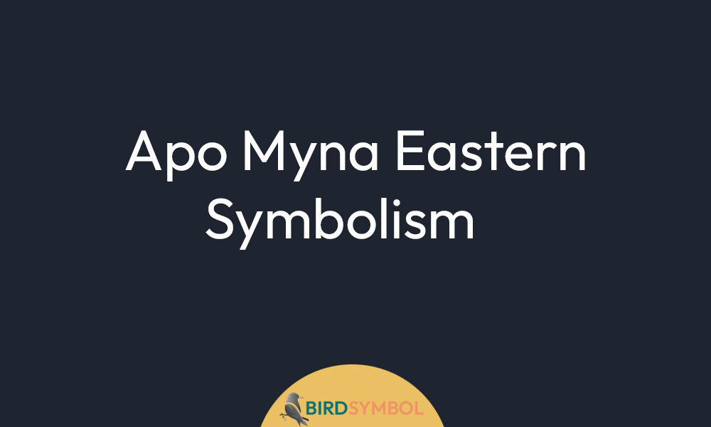 Apo Myna Eastern Symbolism