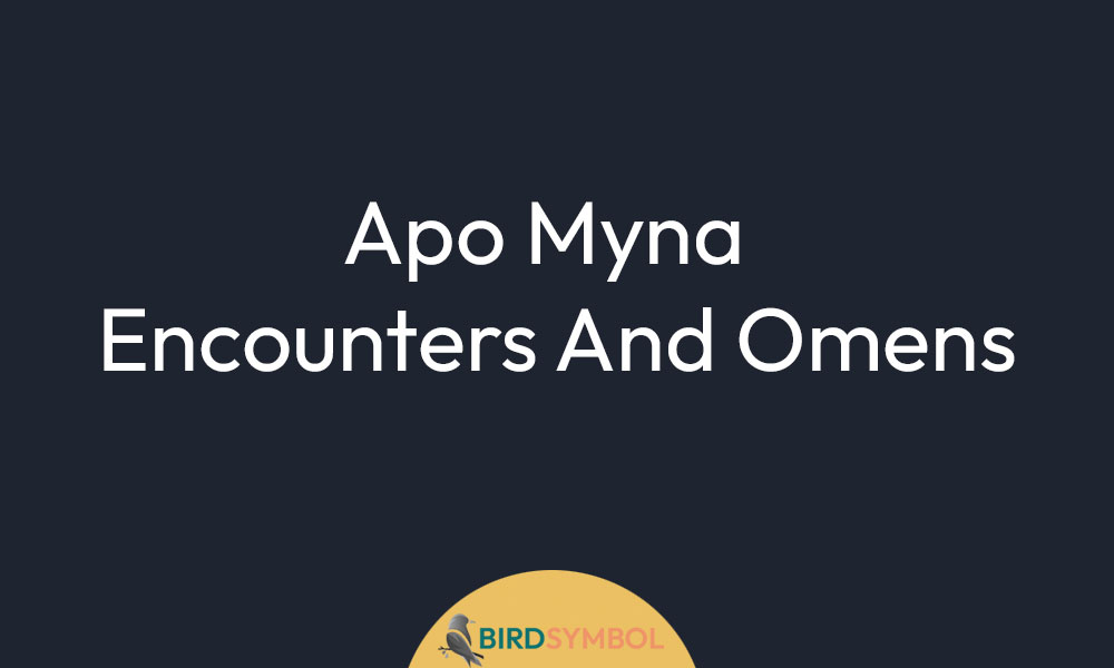 Apo Myna Encounters And Omens