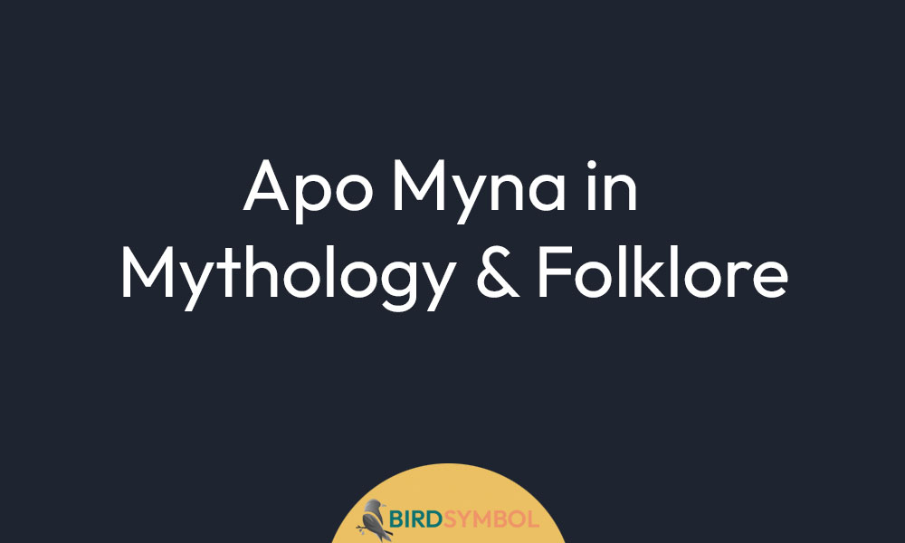 Apo Myna in Mythology & Folklore