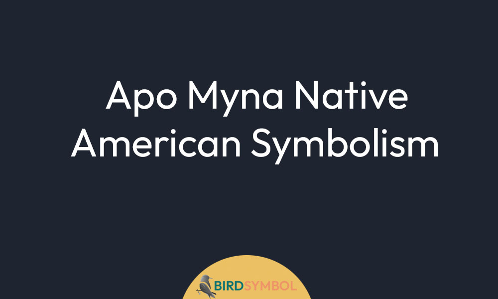 Apo Myna Native American Symbolism