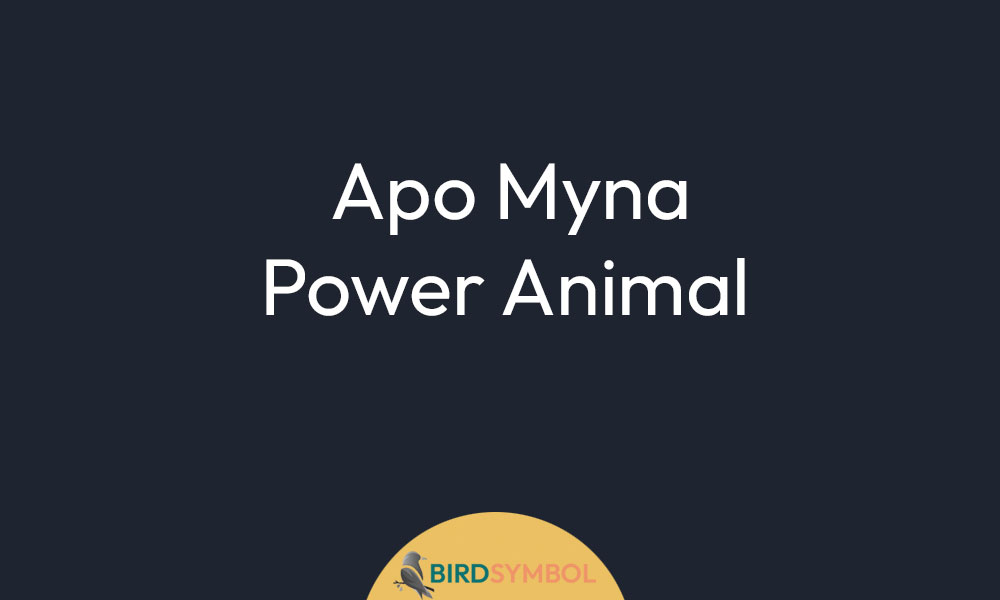 Apo Myna Power Animal