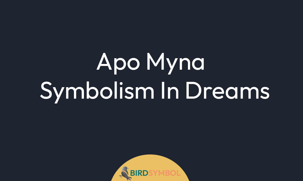 Apo Myna Symbolism In Dreams