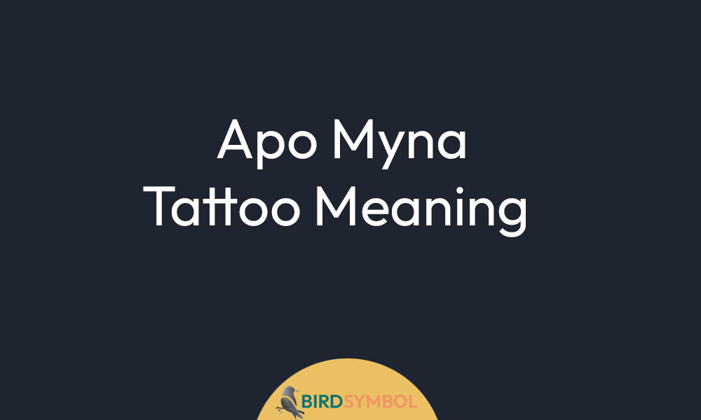 Apo Myna Tattoo Meaning