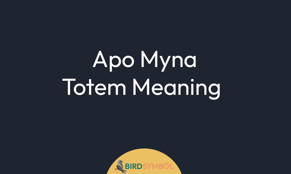 Apo Myna Totem Meaning