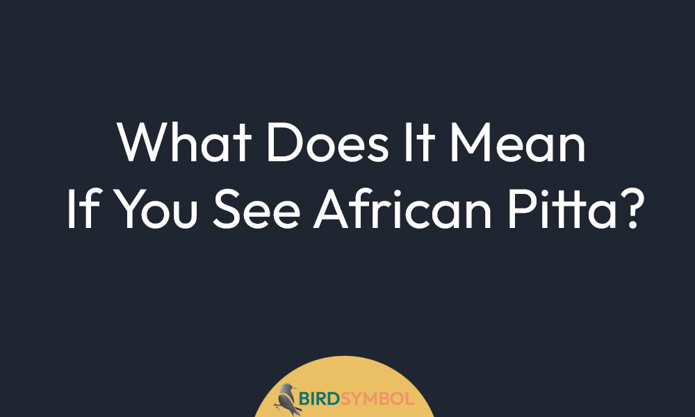 What Does It Mean If You See African Pitta?