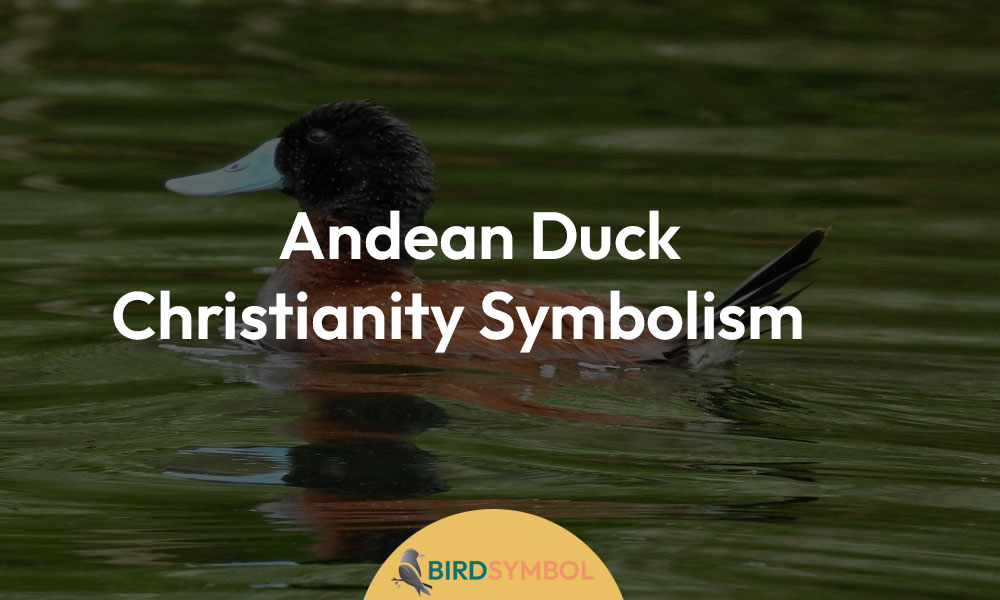 Andean Duck Christianity Symbolism