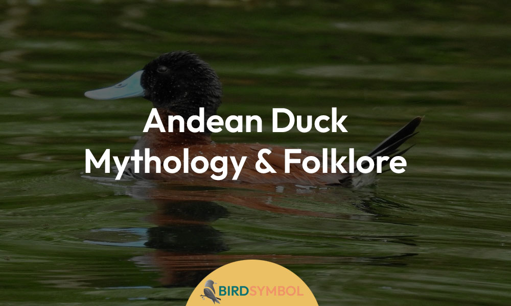 Andean Duck in Mythology & Folklore