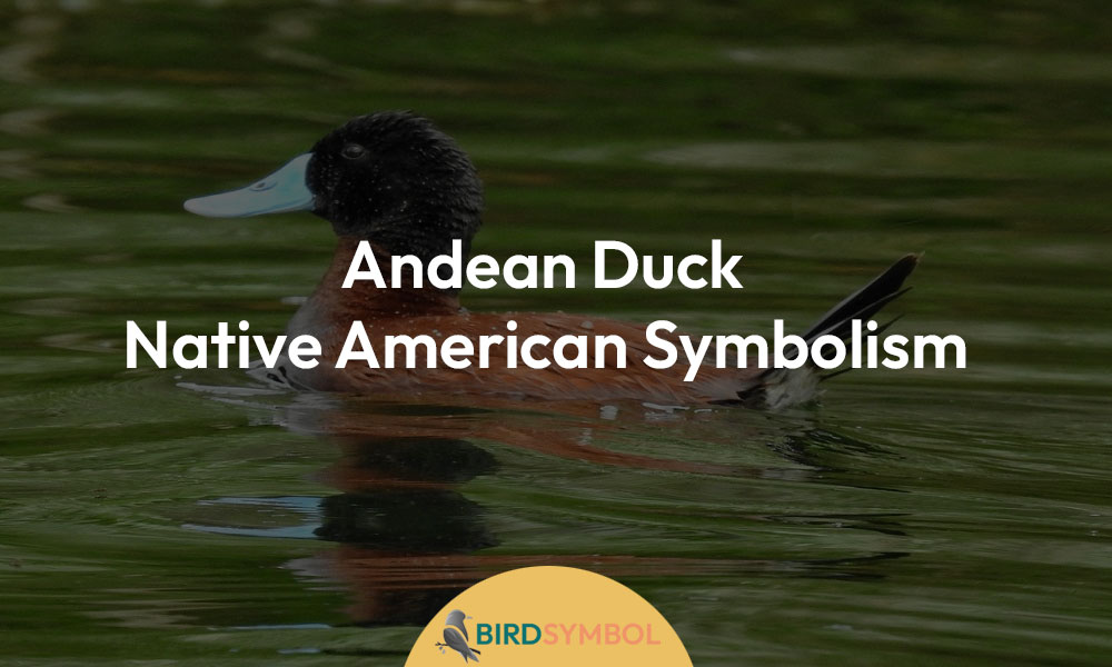 Andean Duck Native American Symbolism