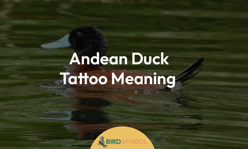 Andean Duck Tattoo Meaning